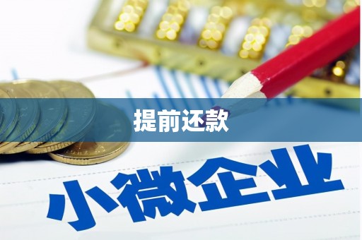 金昌提前还款