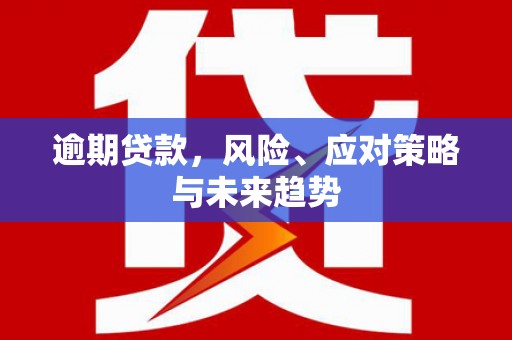 金昌逾期贷款，风险、应对策略与未来趋势