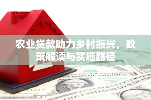 金昌农业贷款助力乡村振兴，政策解读与实施路径