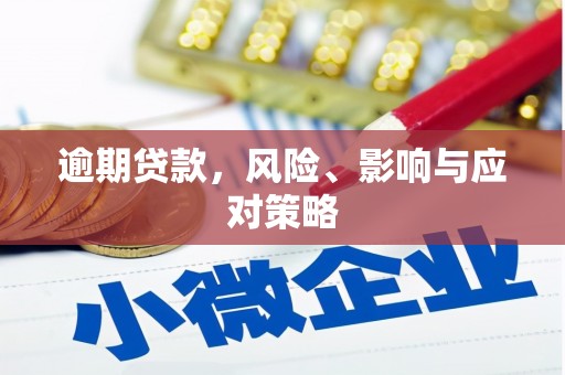 金昌逾期贷款，风险、影响与应对策略