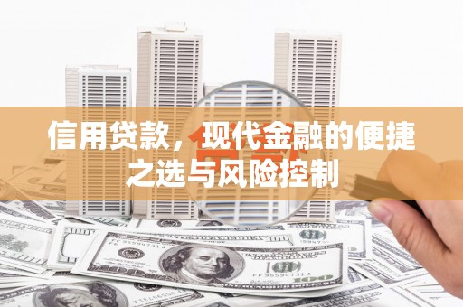 金昌信用贷款，现代金融的便捷之选与风险控制