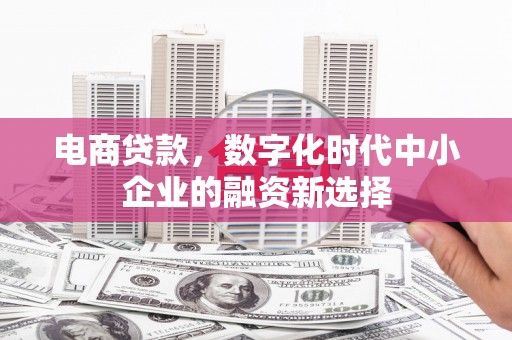 金昌电商贷款，数字化时代中小企业的融资新选择