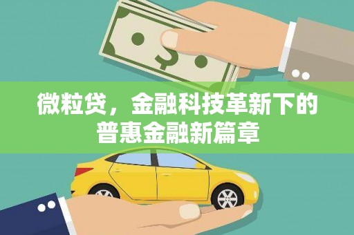 金昌微粒贷，金融科技革新下的普惠金融新篇章