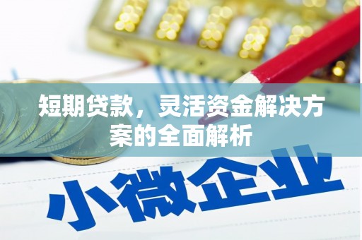 金昌短期贷款，灵活资金解决方案的全面解析