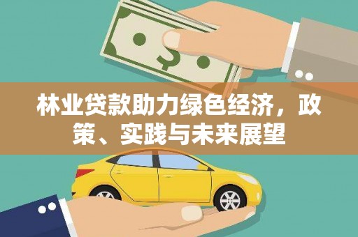 金昌林业贷款助力绿色经济，政策、实践与未来展望
