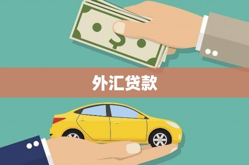 金昌外汇贷款