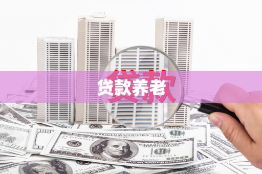 金昌贷款养老
