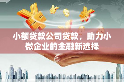 金昌小额贷款公司贷款，助力小微企业的金融新选择