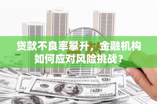 金昌贷款不良率攀升，金融机构如何应对风险挑战？