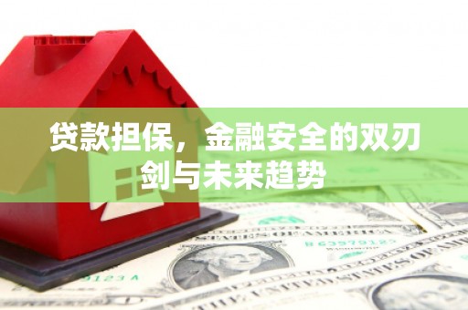 金昌贷款担保，金融安全的双刃剑与未来趋势