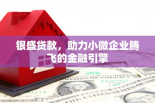 金昌银盛贷款，助力小微企业腾飞的金融引擎