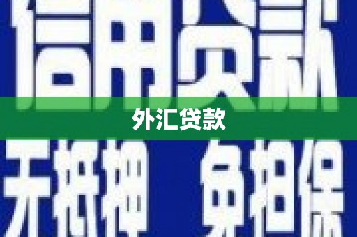 金昌外汇贷款