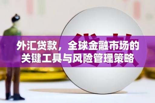 金昌外汇贷款，全球金融市场的关键工具与风险管理策略