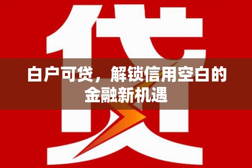 金昌白户可贷，解锁信用空白的金融新机遇