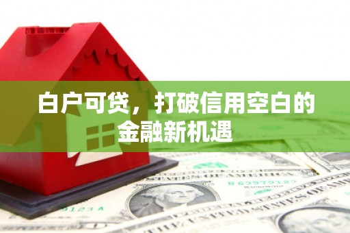 金昌白户可贷，打破信用空白的金融新机遇