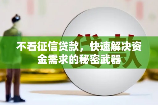 金昌不看征信贷款，快速解决资金需求的秘密武器