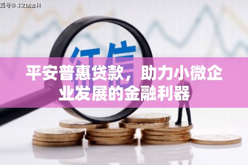 金昌平安普惠贷款，助力小微企业发展的金融利器
