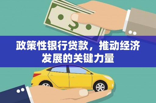 金昌政策性银行贷款，推动经济发展的关键力量