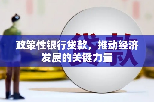 金昌政策性银行贷款，推动经济发展的关键力量