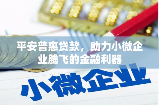 金昌平安普惠贷款，助力小微企业腾飞的金融利器