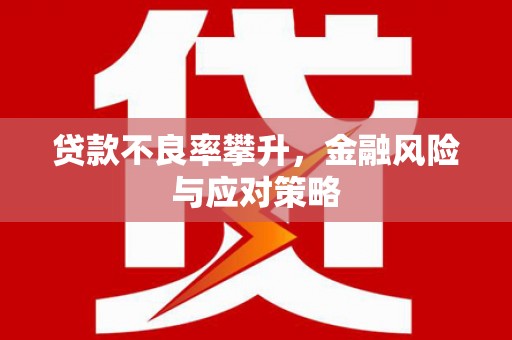 金昌贷款不良率攀升，金融风险与应对策略