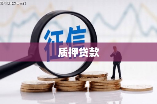 金昌质押贷款