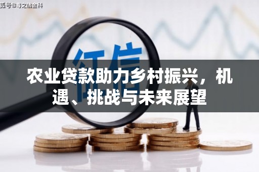 金昌农业贷款助力乡村振兴，机遇、挑战与未来展望