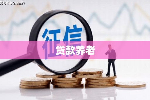 金昌贷款养老