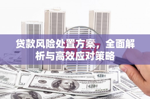 金昌贷款风险处置方案，全面解析与高效应对策略