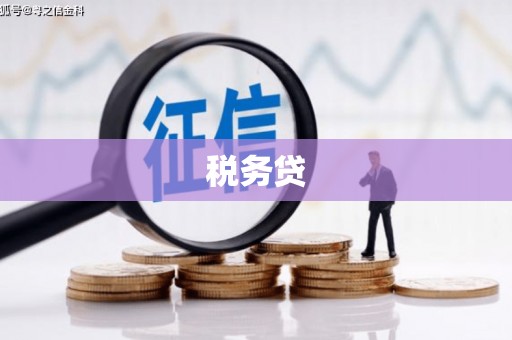 金昌税务贷