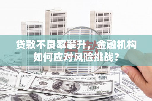 金昌贷款不良率攀升，金融机构如何应对风险挑战？