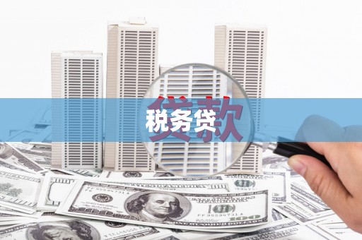 金昌税务贷