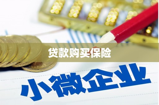 金昌贷款购买保险
