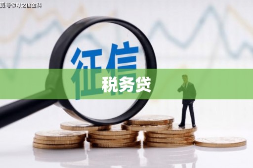 金昌税务贷