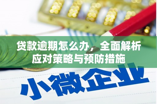金昌贷款逾期怎么办，全面解析应对策略与预防措施