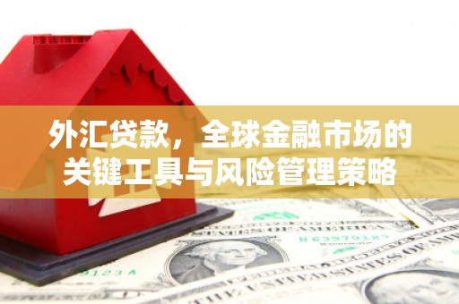 金昌外汇贷款，全球金融市场的关键工具与风险管理策略