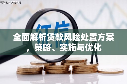 金昌全面解析贷款风险处置方案，策略、实施与优化