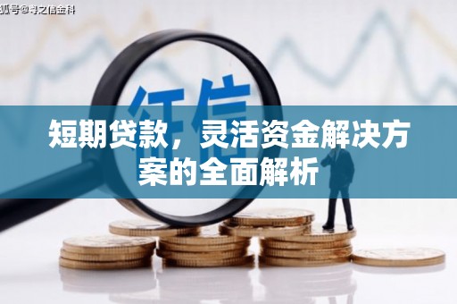 金昌短期贷款，灵活资金解决方案的全面解析