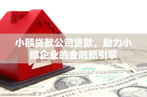 金昌小额贷款公司贷款，助力小微企业的金融新引擎