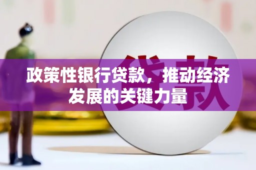 金昌政策性银行贷款，推动经济发展的关键力量