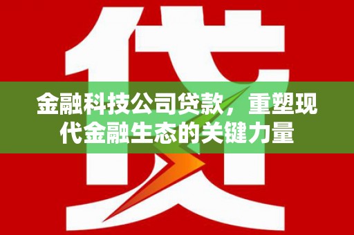 金昌金融科技公司贷款，重塑现代金融生态的关键力量