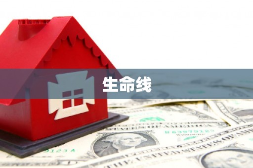 金昌生命线
