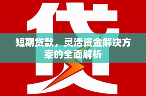 金昌短期贷款，灵活资金解决方案的全面解析
