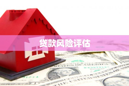 金昌贷款风险评估