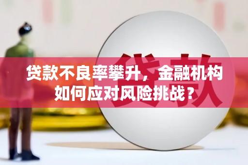 金昌贷款不良率攀升，金融机构如何应对风险挑战？