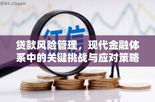 金昌贷款风险管理，现代金融体系中的关键挑战与应对策略