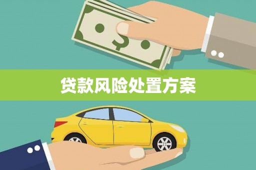 金昌贷款风险处置方案