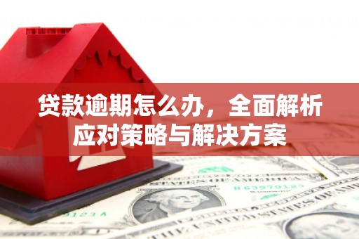 金昌贷款逾期怎么办，全面解析应对策略与解决方案