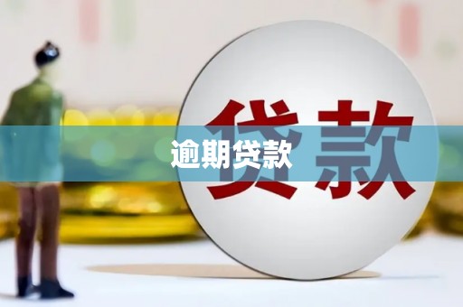 金昌逾期贷款