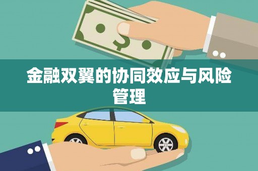 金昌金融双翼的协同效应与风险管理
